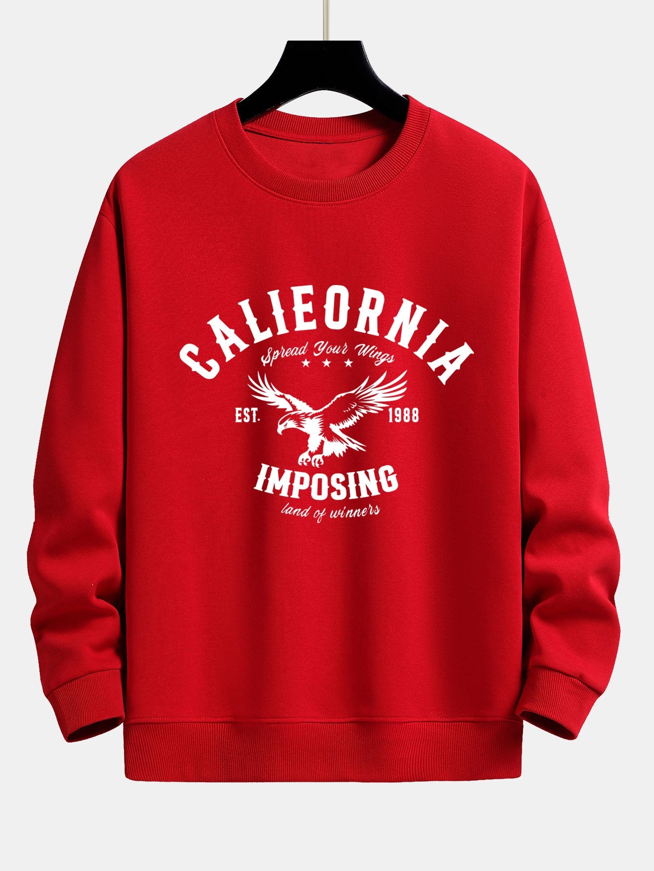 California Eagle Print Relax Fit Sweatshirt